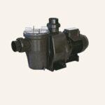 Waterco Swimming Pool Pump