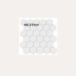 Hexagonal Mosaic Tiles