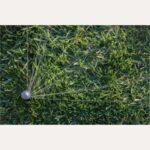 Rainbird R-VAN14 Adjustable Rotary Nozzles