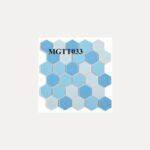 Hexagonal Mosaic Tiles