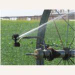 Rainbird LF2400